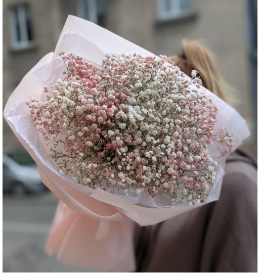 A bouquet of pale pink gypsophila